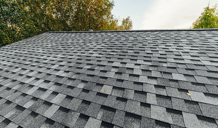 A Beginner’s Guide to Different Types of Roofing Shingles