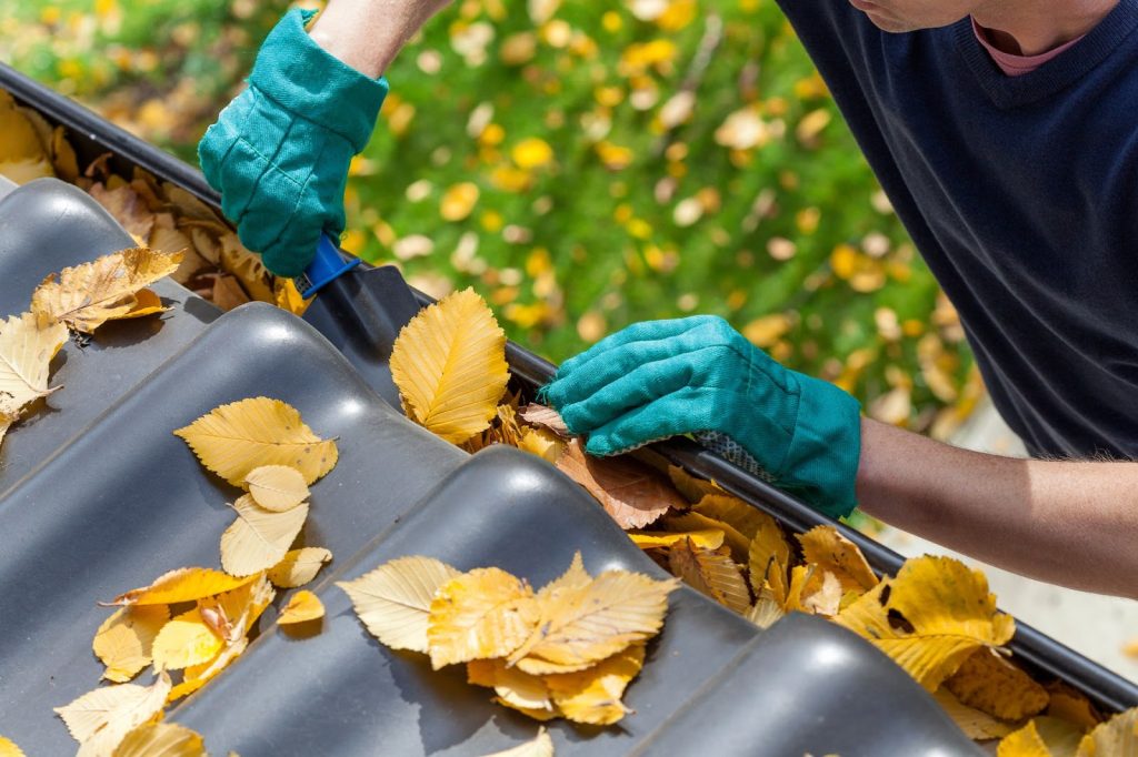 A man in gloves cleans leaves from a roof, showcasing professional roof maintenance and gutter cleaning services in Salt Lake City.